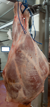 Telec kta na grilovn 