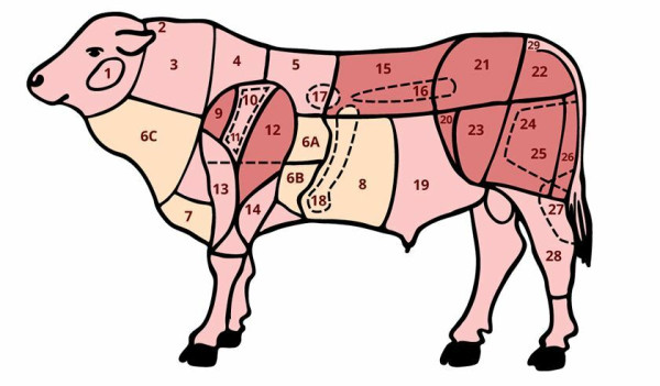 Členění hovězí Členění hovězí