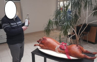 Uzen sele jako drek - na prkn